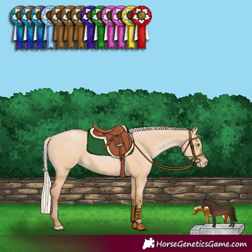 Horse Color:Silver Bay Pearl Dun 