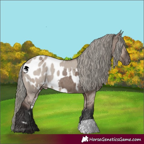 Horse Color:Liver Red Dun Mushroom Skewed Appaloosa  and Liver Red Dun Mushroom Skewed Appaloosa 