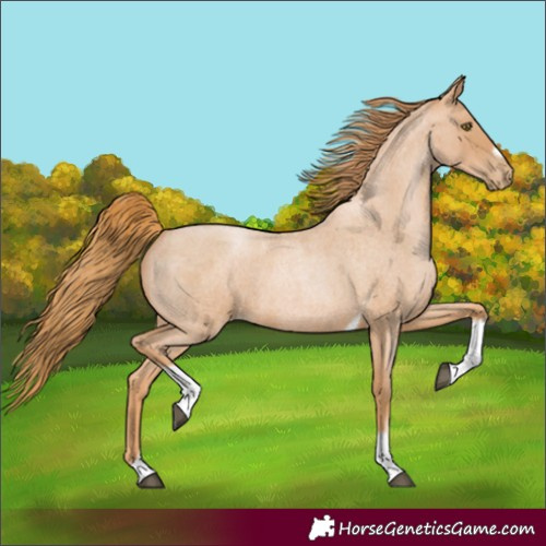 Horse Color:Red Roan Pearl Tobiano Frame 