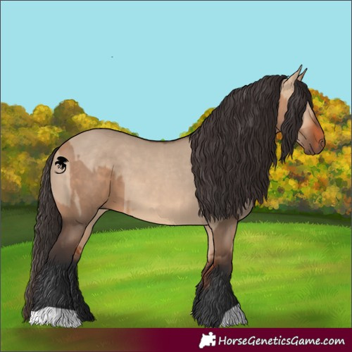 Horse Color:Bay Dun  and Bay Dun 