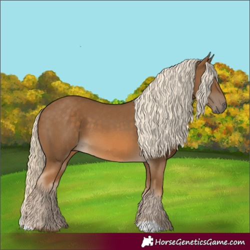 Horse Color:Chocolate Palomino 