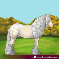 Horse Color:Silver Amber Cream Champagne Dun Tobiano Blanket Rabicano 