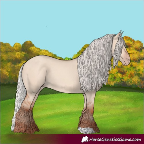 Horse Color:Silver Sable Champagne Dun Rabicano 