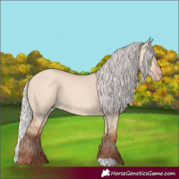 Horse Color:Silver Sable Champagne Dun Rabicano 