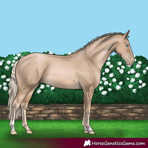 Horse Color:Chocolate Palomino Pearl 