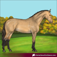 Horse Color:Buckskin Dun 