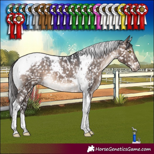 Horse Color:Brown Dun Tobiano Snowcap Brindle 