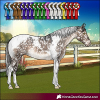 Horse Color:Brown Dun Tobiano Appaloosa Brindle 