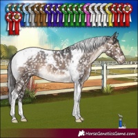 Horse Color:Brown Dun Tobiano Snowcap Brindle