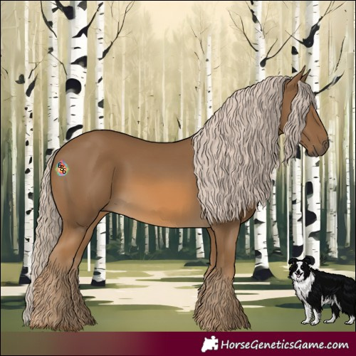 Horse Color:Chocolate Palomino 