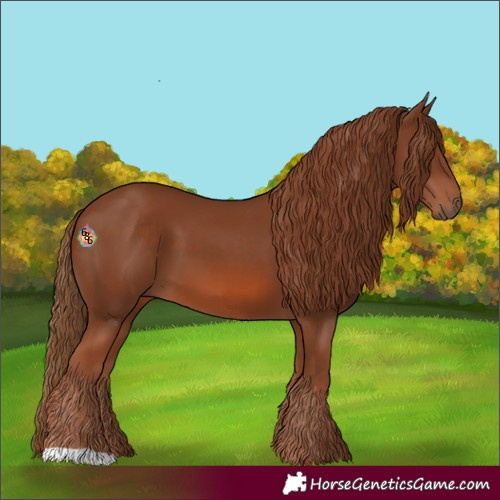 Horse Color:Chestnut 
