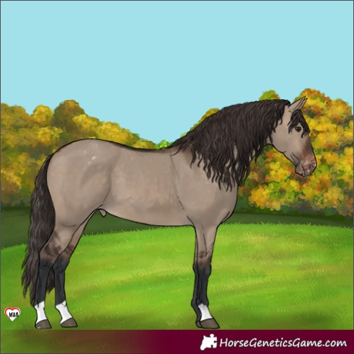 Horse Color:Brown Dun Varnish 