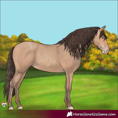 Horse Color:Amber Champagne 