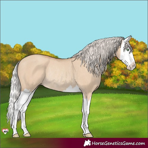 Horse Color:Silver Classic Champagne Dun Splash Rabicano