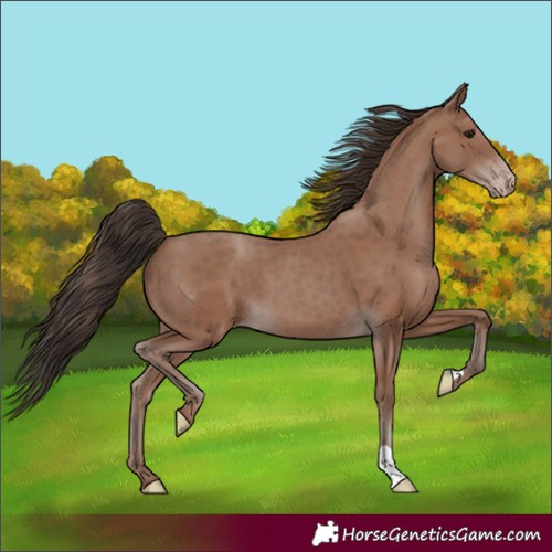 Horse Color:Classic Champagne 