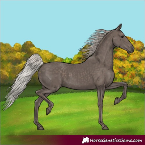 Horse Color:Silver Black 
