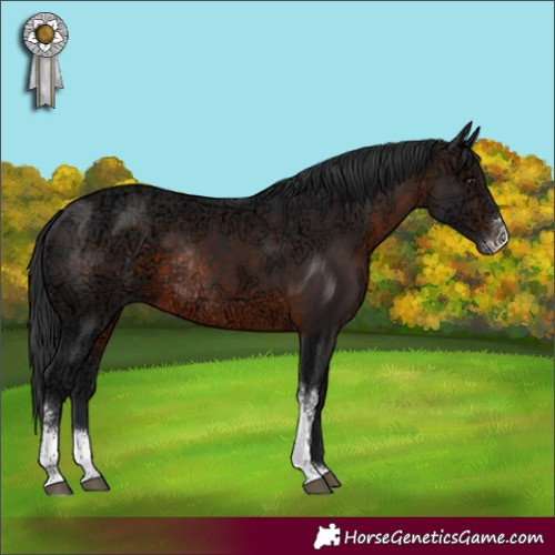 Horse Color:Brown Ice Sabino Rabicano 