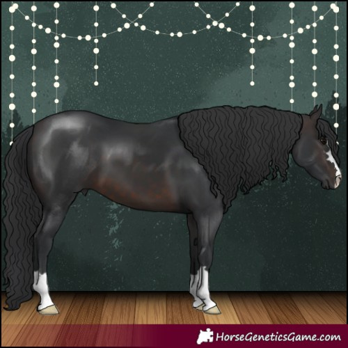 Horse Color:Brown 