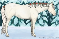 Horse Color:Palomino Roan Pearl Dun  and Palomino Roan Pearl Dun Rabicano 