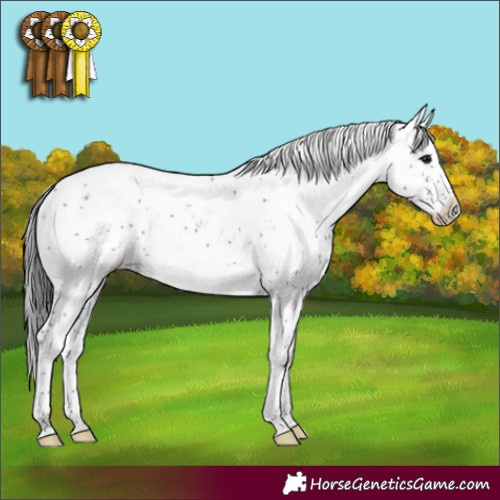 Horse Color:Black Sabino
