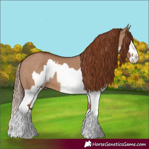 Horse Color:Red Dun Splash  and Red Dun Splash 
