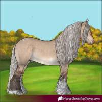 Horse Color:Silver Brown Dun Sabino Tobiano Rabicano