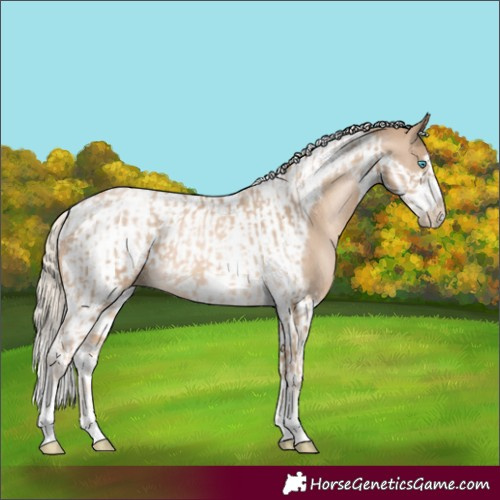Horse Color:Chocolate Palomino Pearl Tobiano Frame and Chocolate Palomino Pearl Tobiano Frame