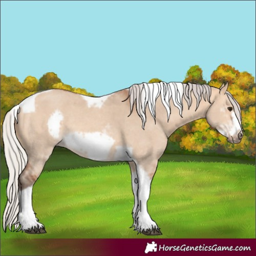 Horse Color:Silver Bay Dun Sabino Tobiano Frame Rabicano 