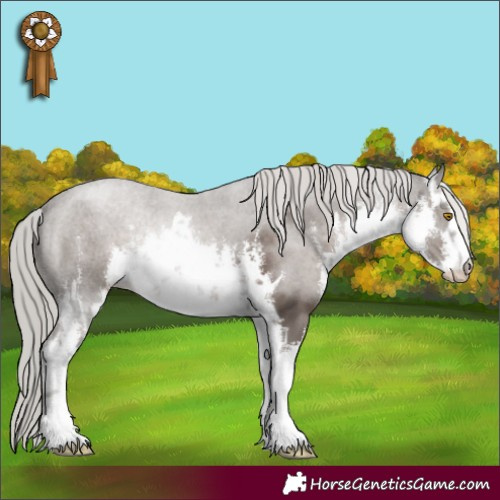 Horse Color:White Spotted Silver Black 
