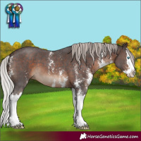 Horse Color:Silver Brown Sabino Splash