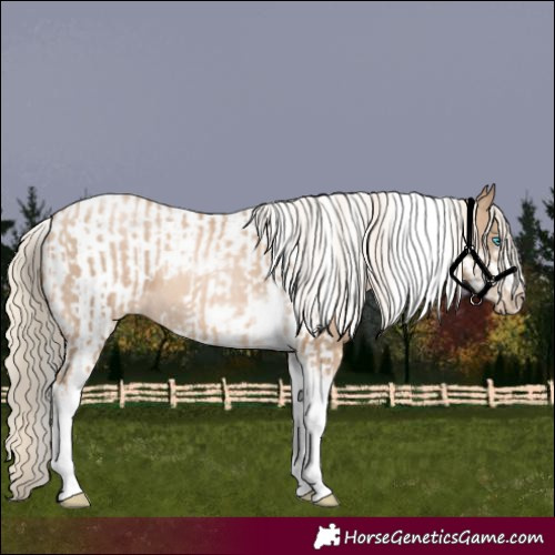 Horse Color:Chocolate Palomino Pearl Tobiano Frame  and Chocolate Palomino Pearl Tobiano Frame 