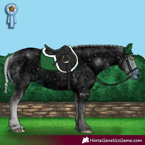 Horse Color:ERROR: UNKNOWN ANOMALY