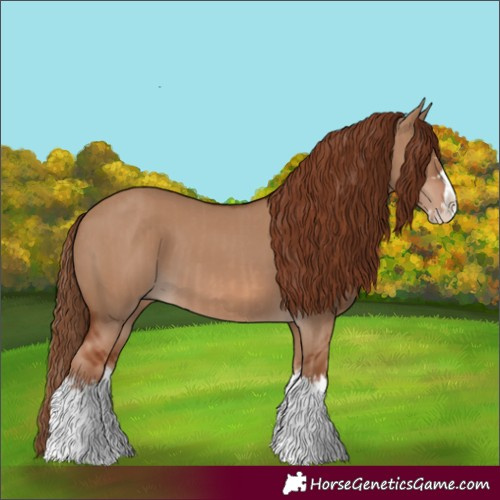 Horse Color:Red Dun Splash  and Red Dun Splash 