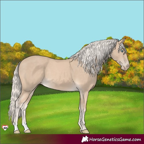 Horse Color:Cremello 