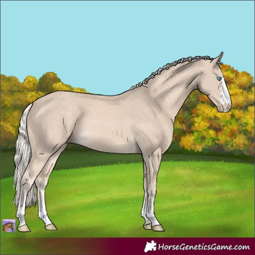 Horse Color:Cremello 
