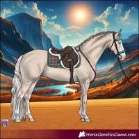 Horse Color:Cremello 