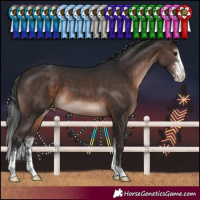 Horse Color:Brown Mushroom Sabino Varnish 