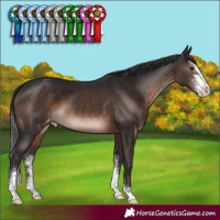 Horse Color:Brown Mushroom Sabino Appaloosa