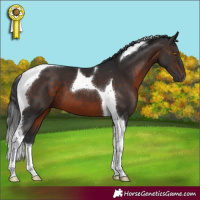 Horse Color:Brown Mushroom Tobiano