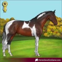 Horse Color:Brown Mushroom Tobiano 
