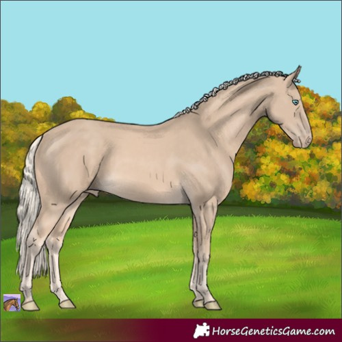 Horse Color:Cremello 
