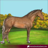 Horse Color:Chocolate Palomino