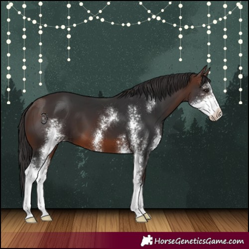 Horse Color:Brown Sabino 