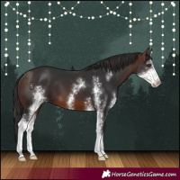 Horse Color:Brown Sabino
