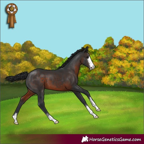 Horse Color:Brown 