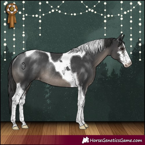Horse Color:Black Sabino Tobiano Varnish Rabicano 