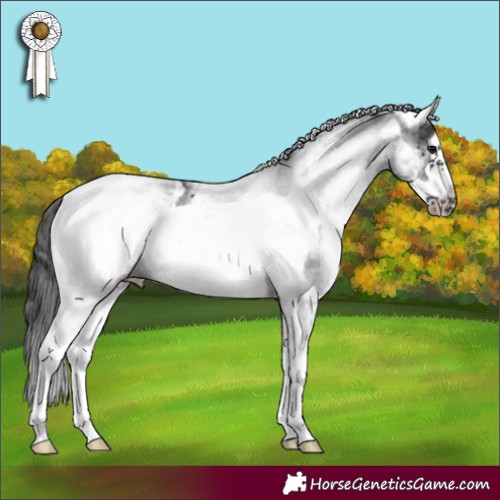 Horse Color:White Spotted Black Frame Appaloosa 