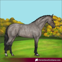 Horse Color:Brown Roan Dun 