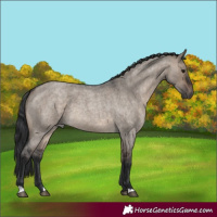 Horse Color:Brown Roan Dun