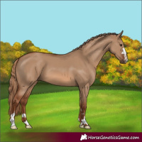 Horse Color:Red Dun
